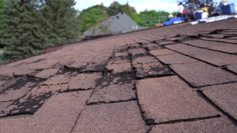 Best Commercial Roofing Services  in Jacksonvle, IL