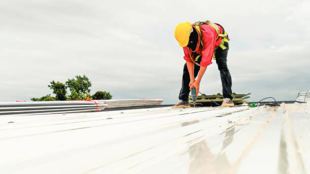 Best Gutter Installation and Repair  in Jacksonvle, IL