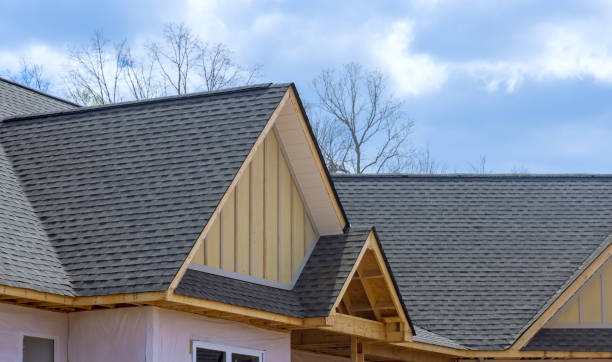 Best Roof Coating and Sealing  in Jacksonvle, IL
