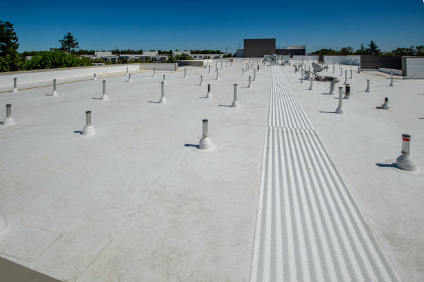 Best Asphalt Shingle Roofing  in Jacksonvle, IL